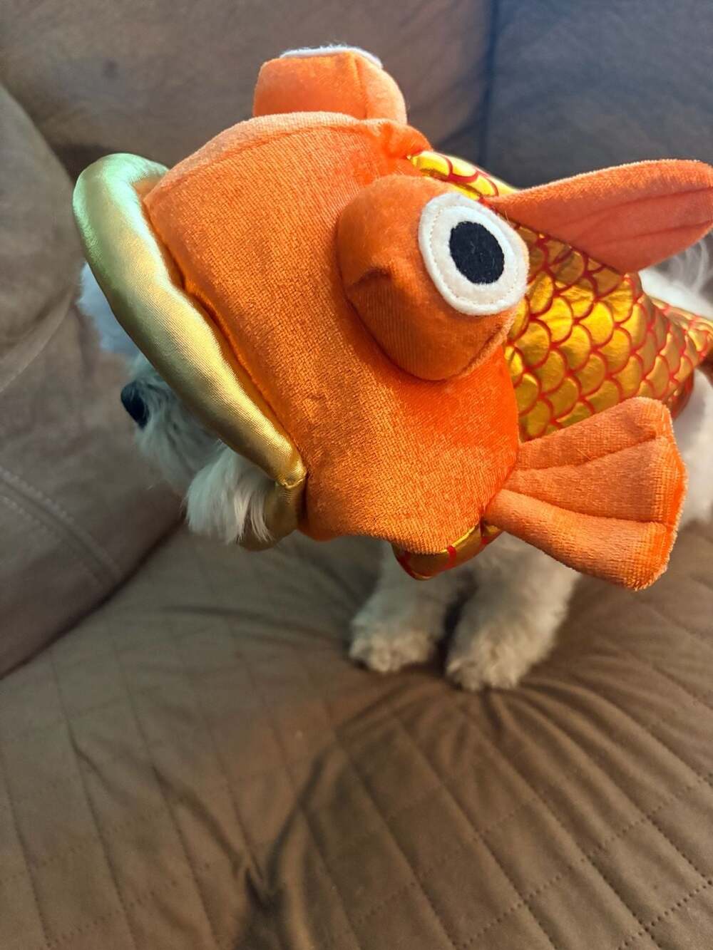 Bootique Goldfish Pet Costume One Size